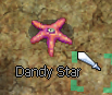 Dandy Star