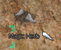 Magical Herb