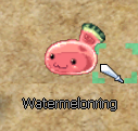 Watermelonring